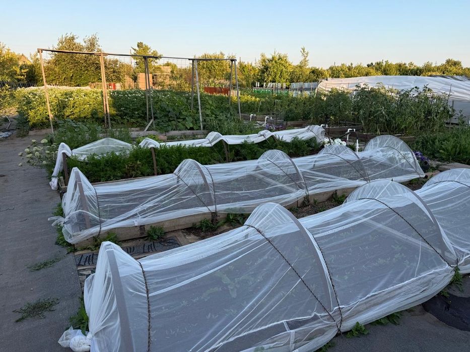 Продаётся дача, Черемушки