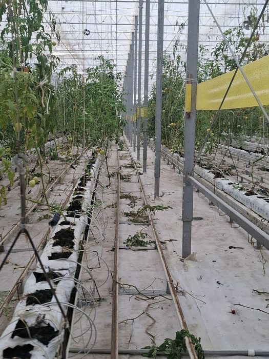 Срочно Продается Земля Кушкунда 16 Гектаров