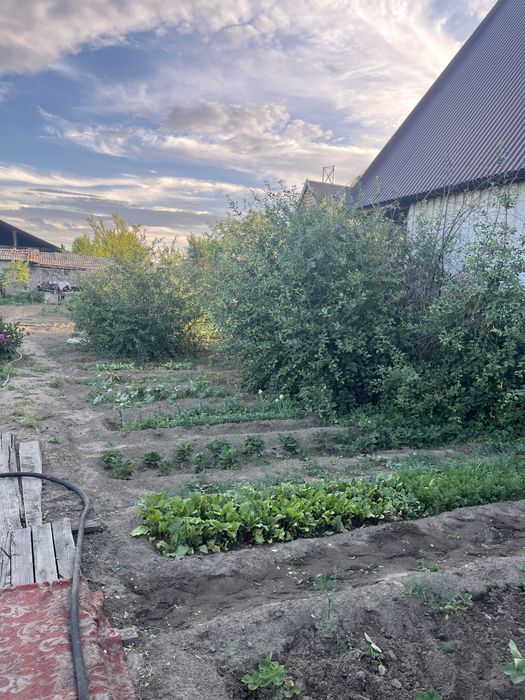 Продам частный дом с участком