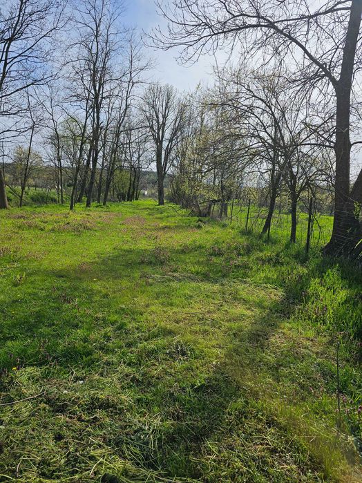 Vand casa cu gradina in sat Tela comuna Bata jud.Arad.