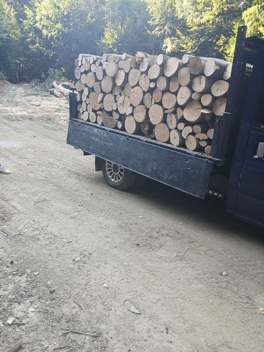 Lemn de foc fag fasonate la cererea clientului