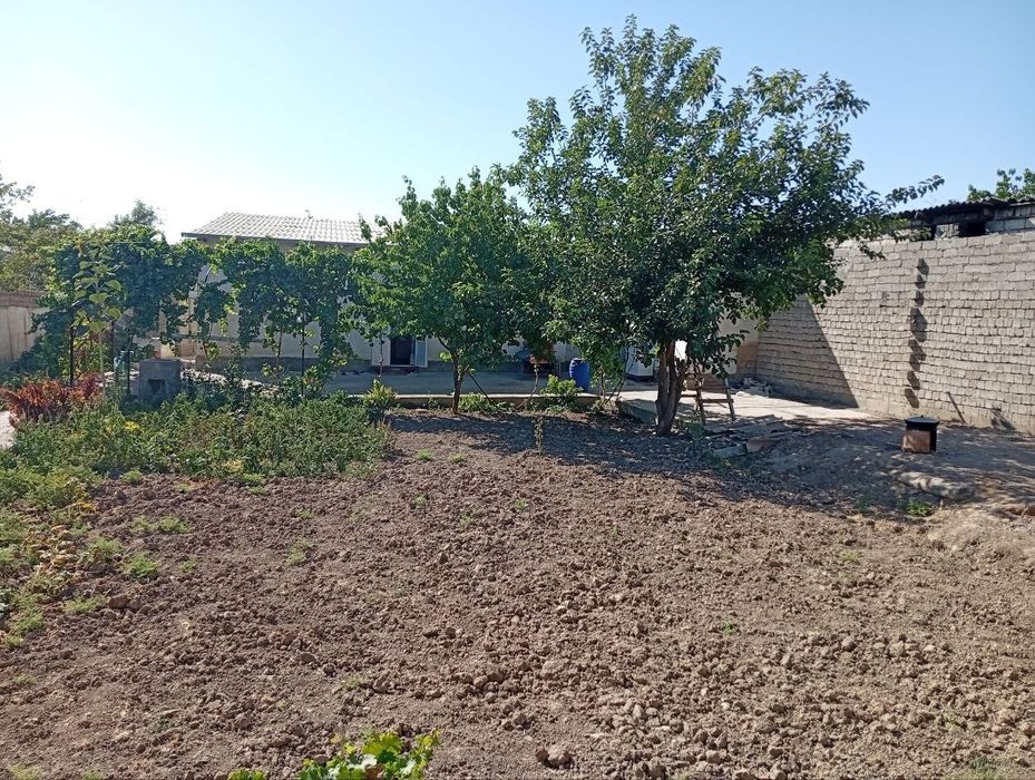 Srachni hovli sotiladi