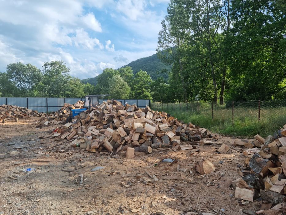 Vand lemn foc de fag