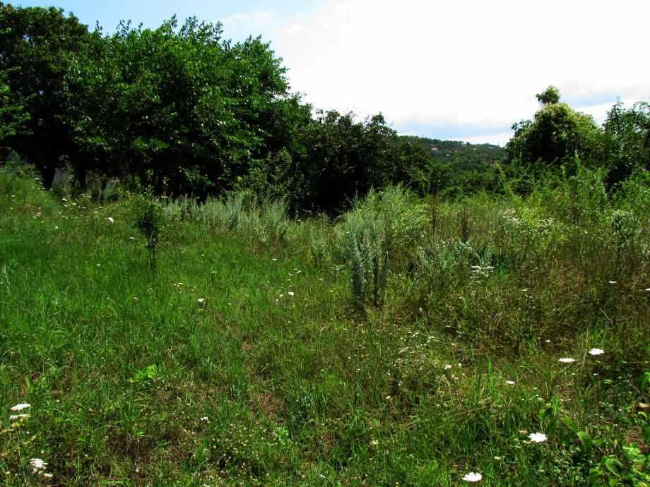 Продава се Парцел в Варна, ВИНС - 1000 кв.м за 80 €/кв.м - Снимка #2