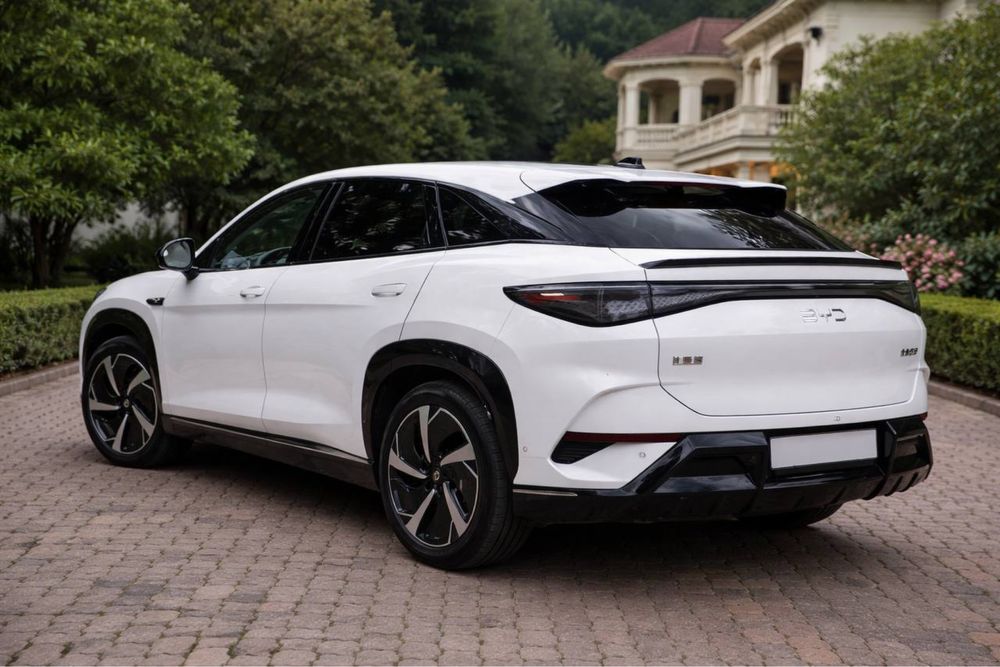 Byd Sea Lion 07 Full