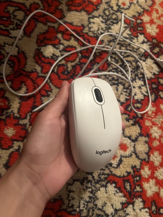 Мышка Logitech B100