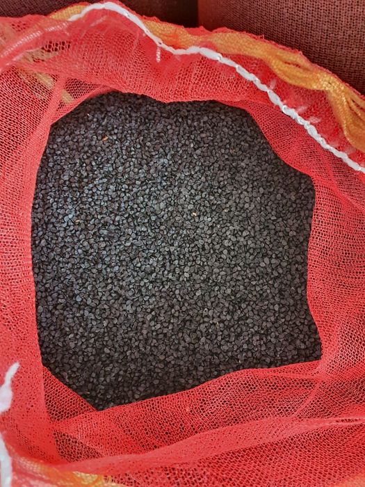 Banko nomli piyoz urug'i 100% ishonchli