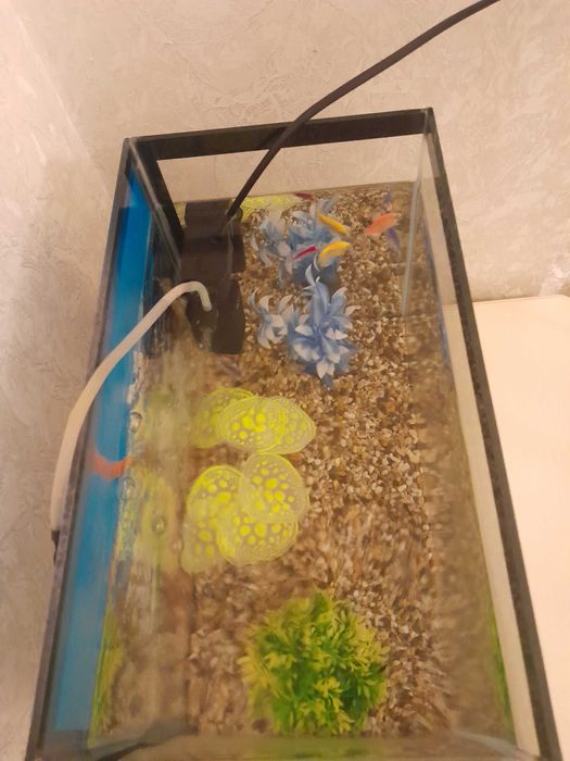 Продам аквариум, 18 литровый