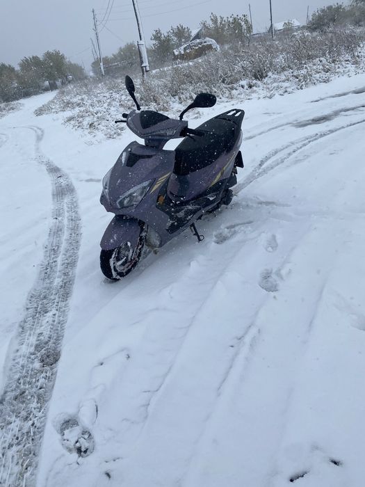 Скутер и квадроцикл