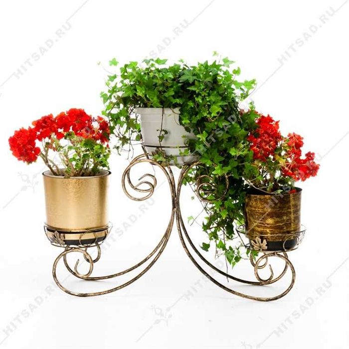 Виды напольных подставок для цветов и советы по их выбору