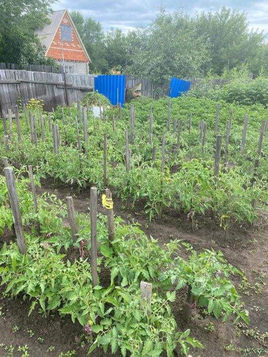 Продам дачу, 18 маршрут