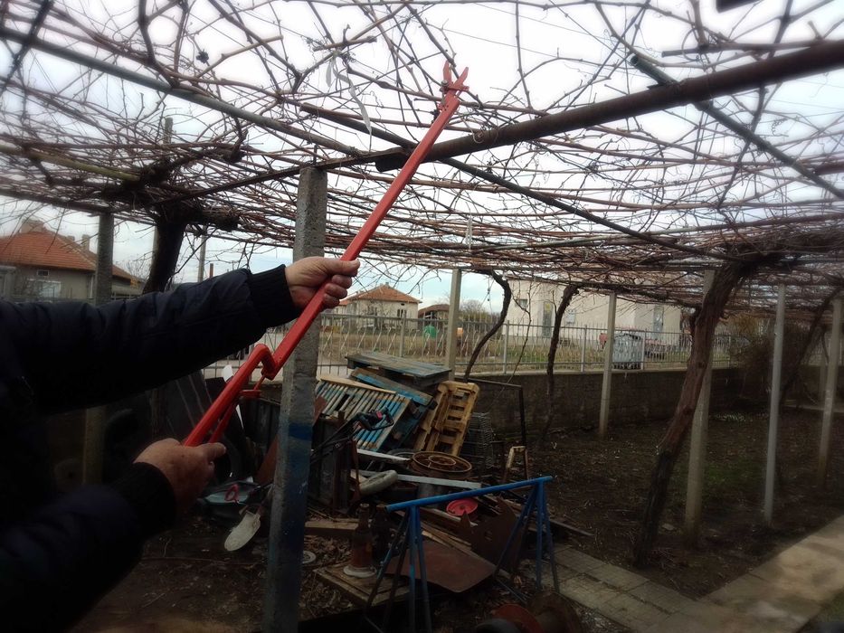 Удължена лозарска ножица и щипка