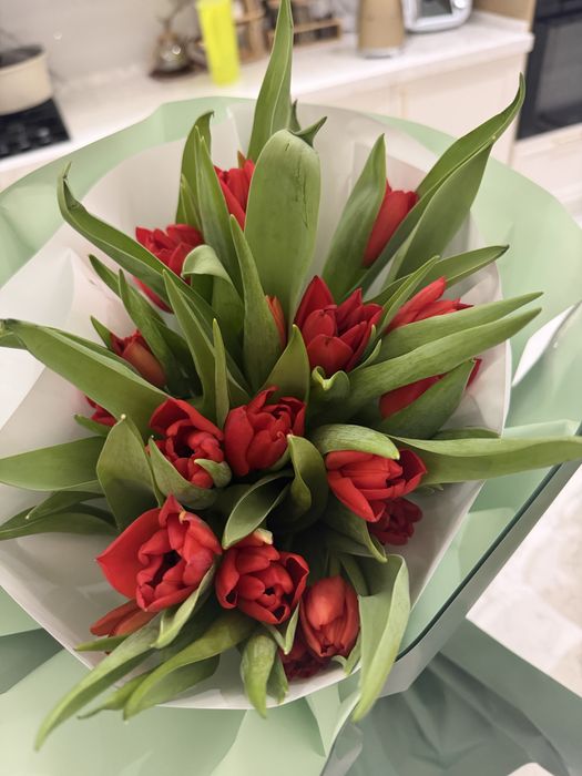 Свежий тюльпан, 17 шт