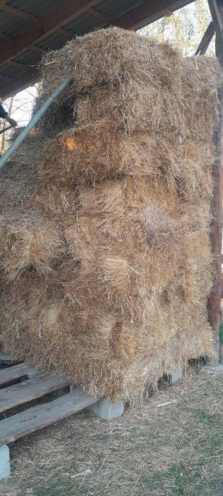 Шөп сатылады отын