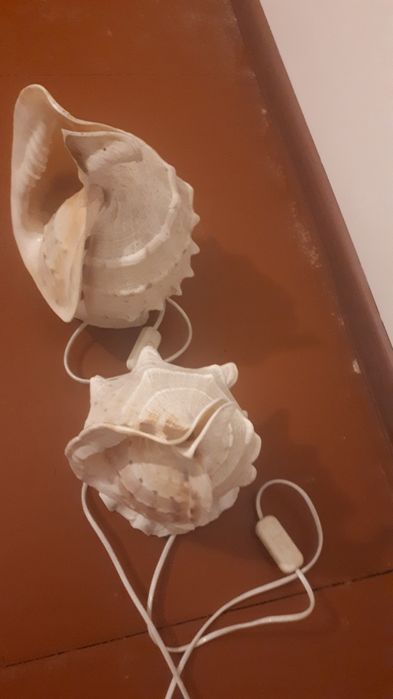 Светильники в форме ракушек