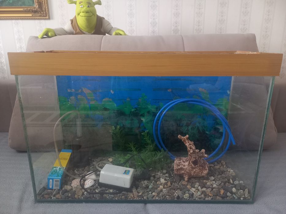 Пподам 50л аквариум