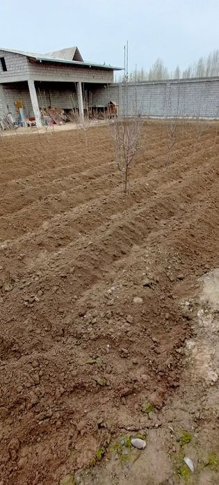 Bog' orasini yumshatish ariq olish tayyorlash xizmati