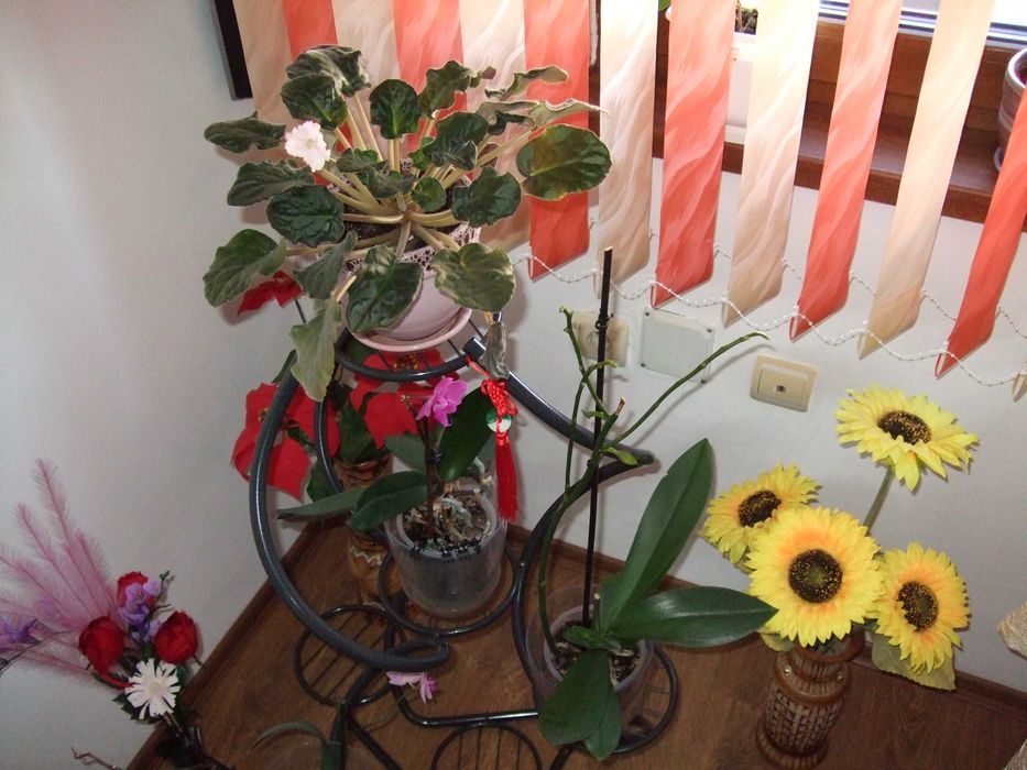 Fujifilm FinePix F40fd