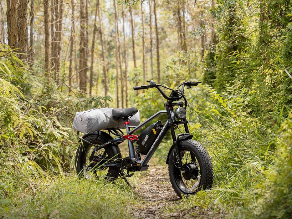 Електрически велосипед Eahora Terra 2 – 48V 1500W Dual Motor Fat Tire