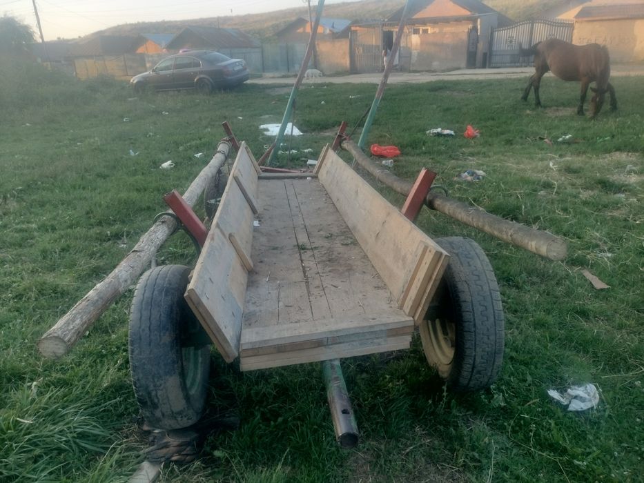 Vând iapa puls ham și căruță