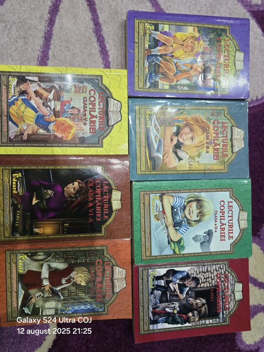 Dictionare sinonime, paronime, omonime