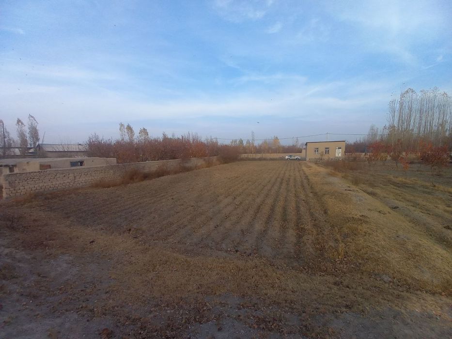 Томорка сотилади