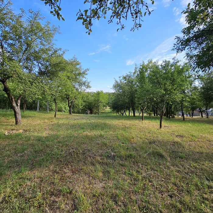 Teren intravilan tautii de sus