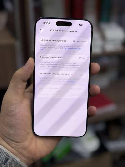 iPhone 16 Pro Max / 256Gb / 100%