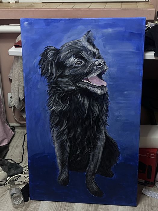 Pictura panza/perete