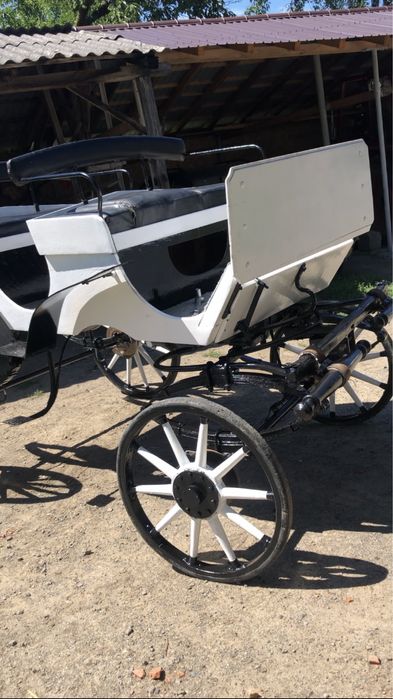 Vand șaretă/caleașcă pentru cai