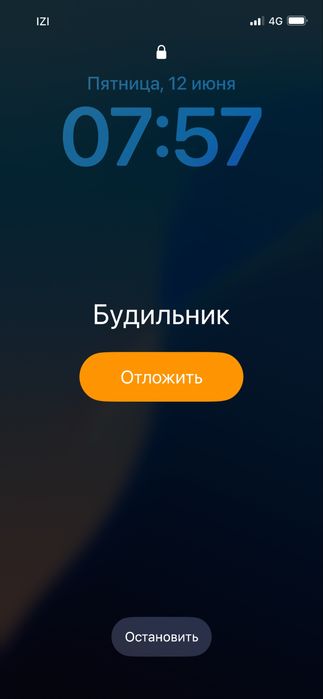 Iphone 12 вся в родне
