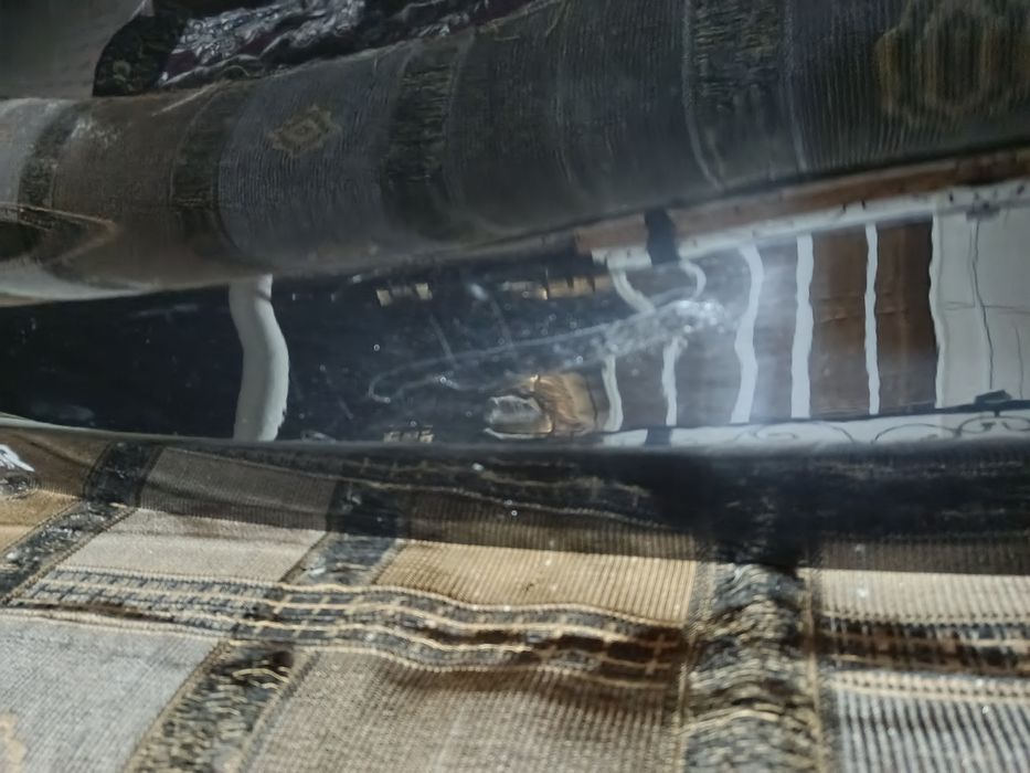 Trecker 2 Bagaj 2025