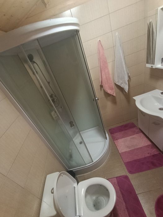 Oferta! Vând domeniu unicat (1 Ha) cu casă și livadă – Drăghiceanu, Giurgiu | Opțiuni parcelate la asfalt