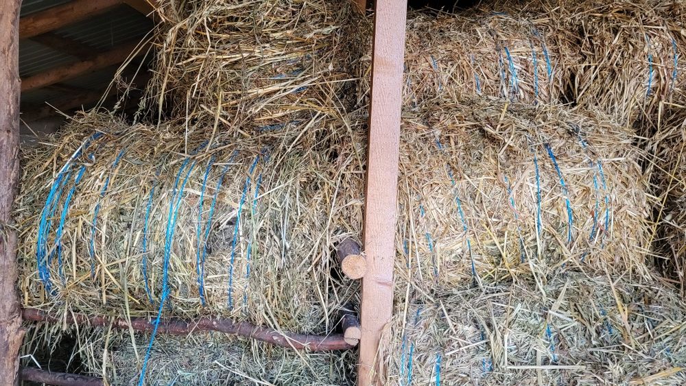 Vand baloti de fan si de ovaz