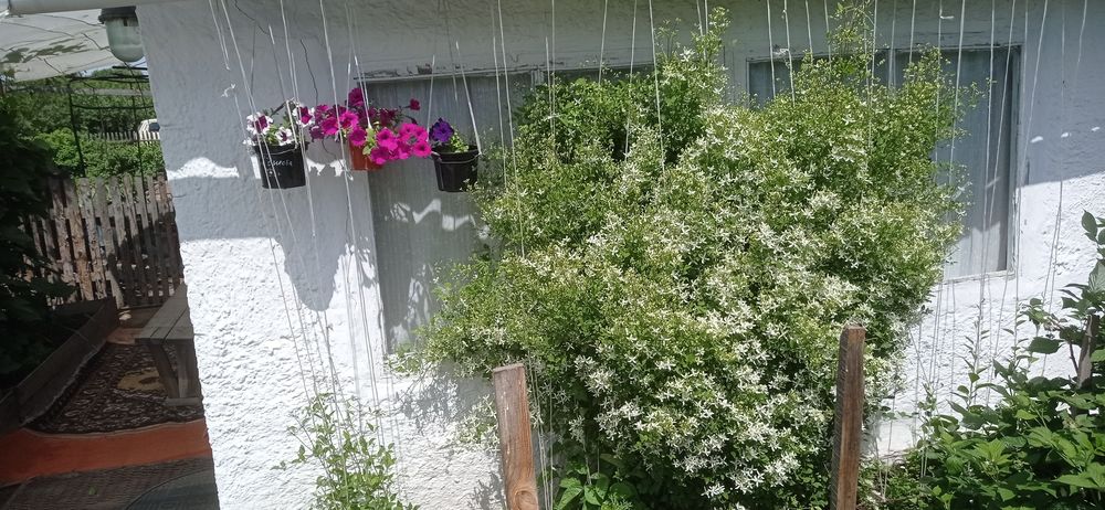 Прода м дачу сад Южной