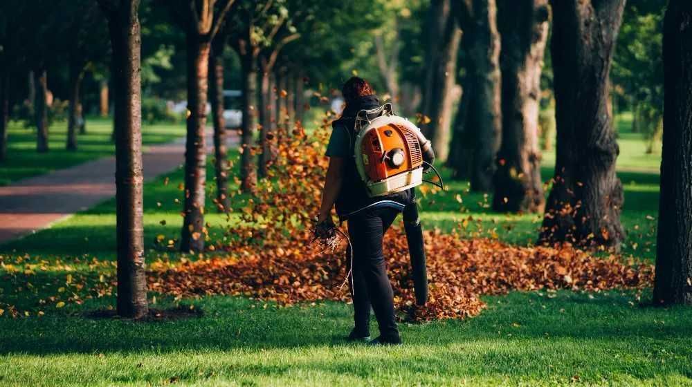 Поддръжка на дворове, рязане на опасни дървета, косене на трева