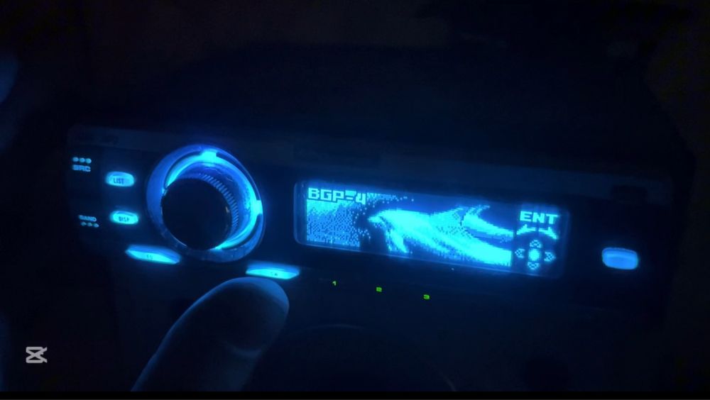 Пионер дельфин.