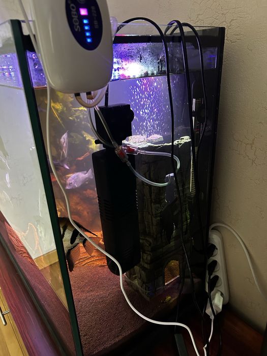 Продам аквариум 200л с содержимым