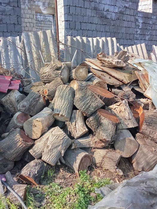 Ағаш сатылады баняга