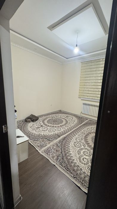 Президент коше , 3 магазин , чопар пицца, feedUP , касында Центр уй са