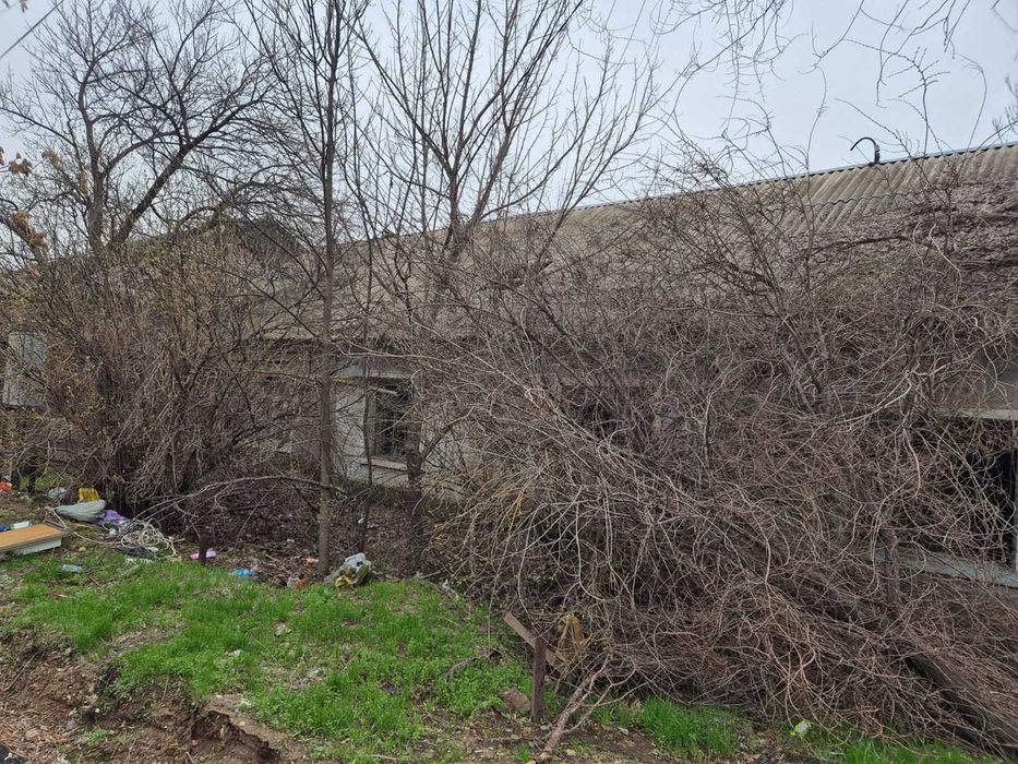 Шифер / Материалы с дома