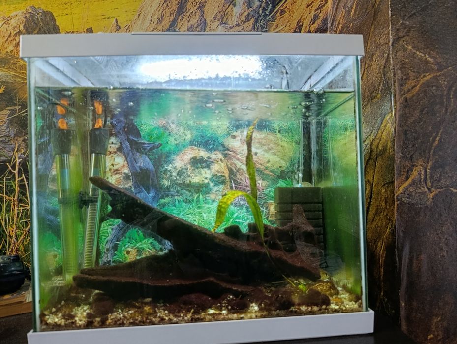 Аквариум Hailea 40 литра