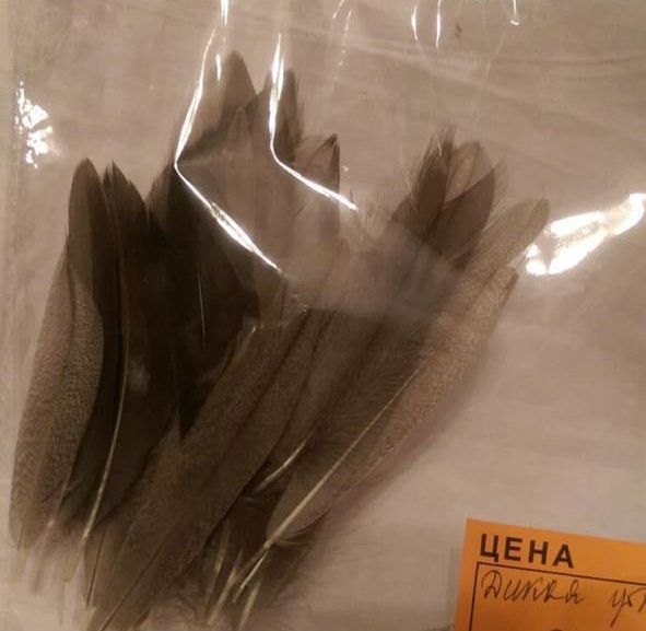 Перья Утки дикой