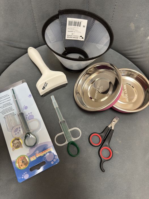 Продам британского кота