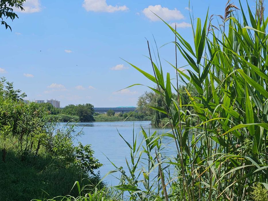 Teren de vanzare pe malul lacului in Stefanestii de Jos