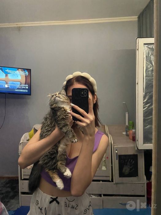отдаю даром котенка