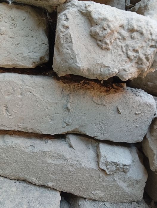 Хом гиштлар сотилади тез ва арзон