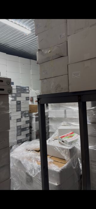 Финики на рамадан оптом