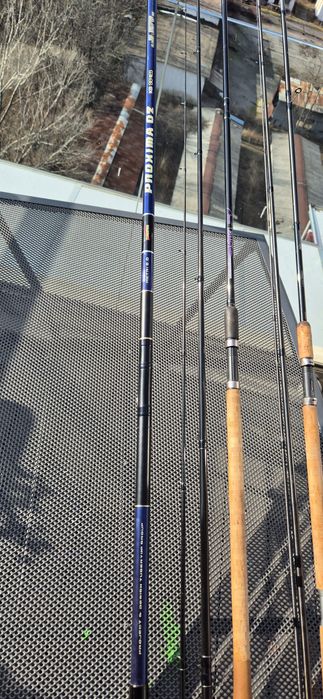 Болонеза и мачове