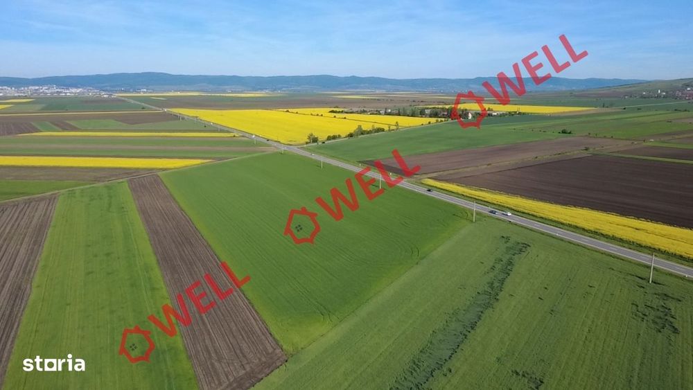 5 terenuri agricole de vânzare în Sântionlunca!